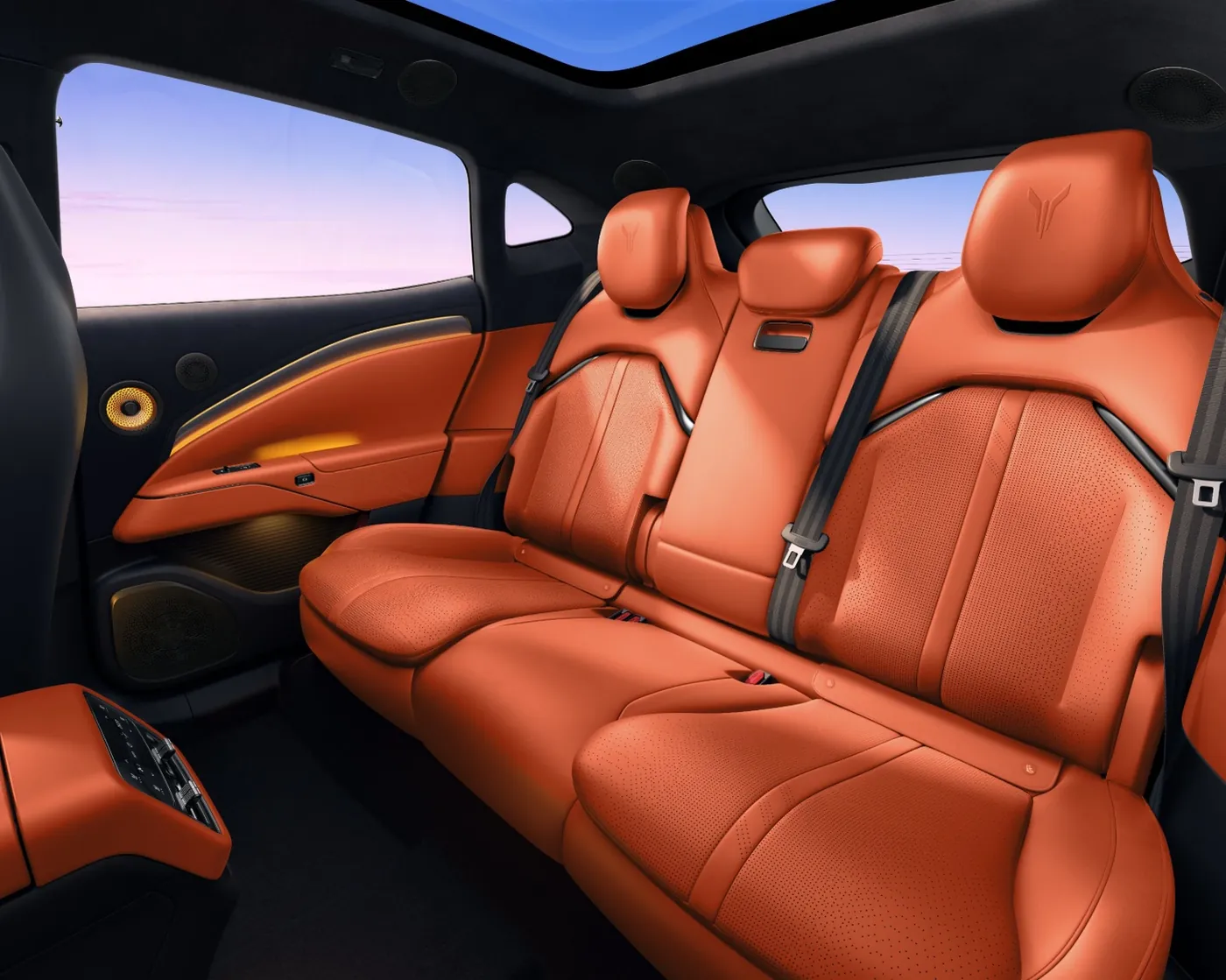 VOYAH Passion S — All-Electric Coupé-SUV, photo 5 of 11